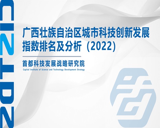 国产操逼片【成果发布】广西壮族自治区城市科技创新发展指数排名及分析（2022）